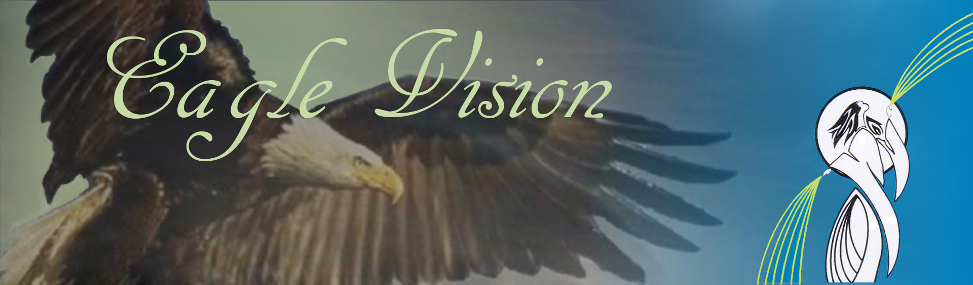 Eagle Vision Shamanic Healing